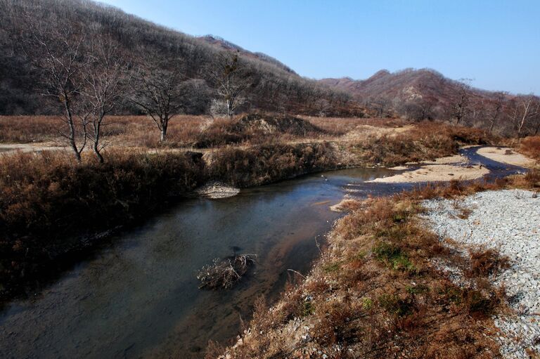 Национальный парк Земля леопарда в Приморском крае. Архивное фото