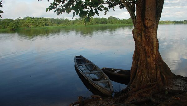 Река Амазонка в Колумбии, архивное фото