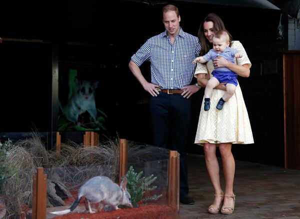 Принц Уильям и Герцогиня Кембриджская Кэтрин вместе с сыном наблюдают за билби в зоопарке Сиднея, Австралия