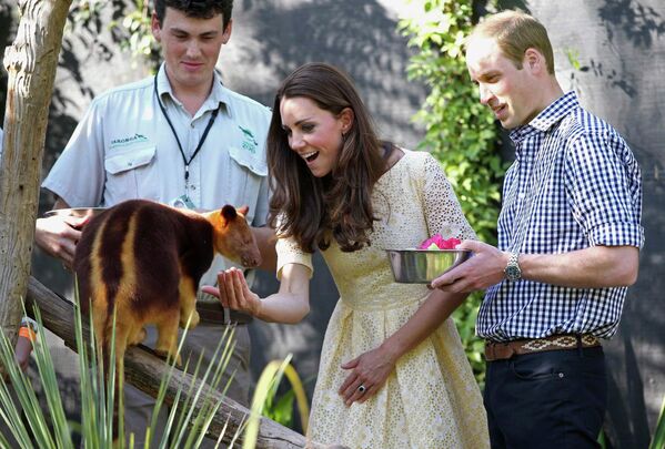Принц Уильям и Герцогиня Кембриджская Кэтрин кормят древесного кенгуру в зоопарке Сиднея, Австралия