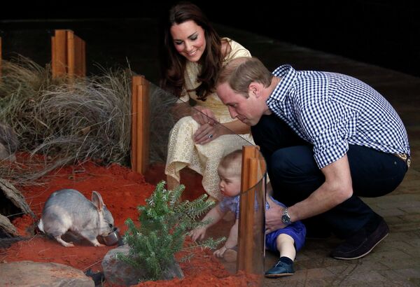 Принц Уильям и Герцогиня Кембриджская Кэтрин вместе с сыном наблюдают за билби в зоопарке Сиднея, Австралия