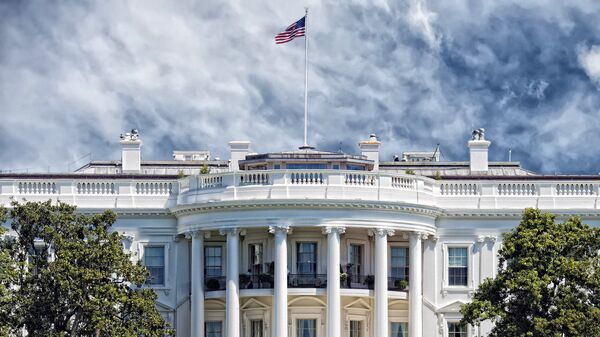 Здание Белого дома в Вашингтоне, архивное фото