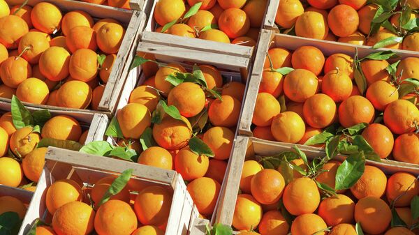 Апельсины, архивное фото