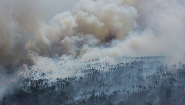 Тушение лесных пожаров на Дальнем Востоке. Архивное фото