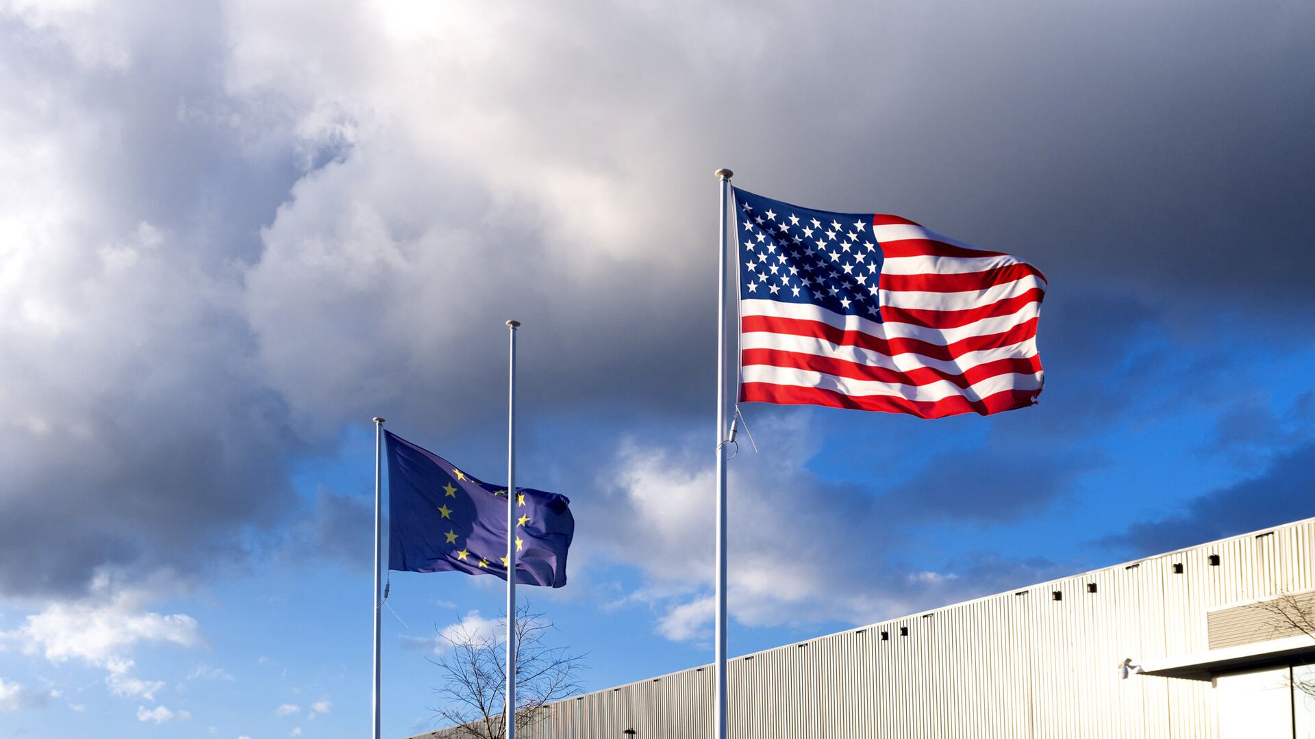 Флаги США и Евросоюза - РИА Новости, 1920, 19.01.2022