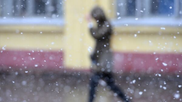 Мокрый снег в Москве. Архивное фото