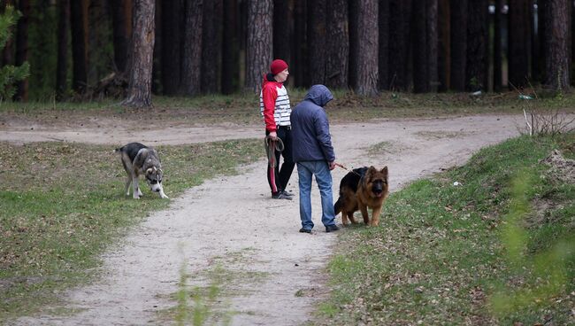 Прогулка, архивное фото