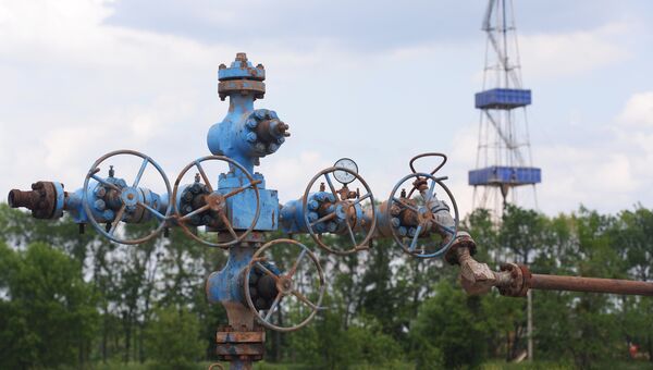 Юзовское месторождение сланцевого газа на Украине. Архивное фото