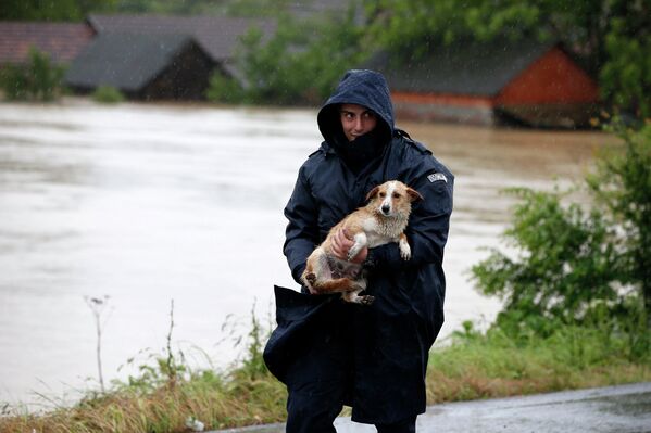 Полицейский выносит из зоны затопления собаку. Город Лазаревац, Сербия
