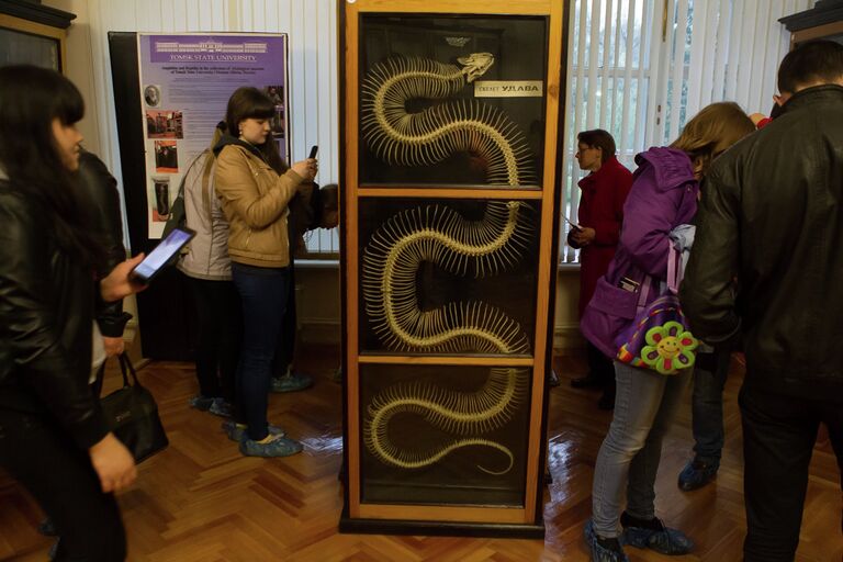 Ночь в музее-2014 в зоологическом музее Томского госуниверситета