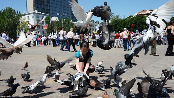 Девочка кормит голубей во время митинга в Донецке. Архивное фото
