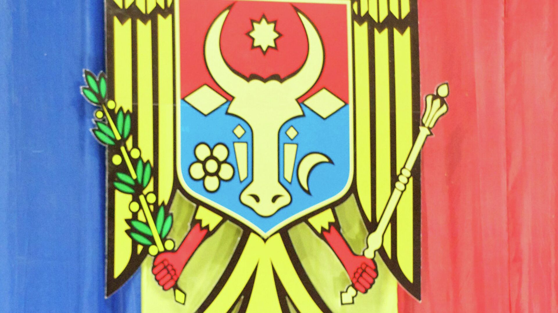 Фрагмент флага Молдавии. - РИА Новости, 1920, 14.07.2022