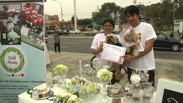 Собачье счастье: домашним любимцам в Перу устроили настоящую свадьбу
