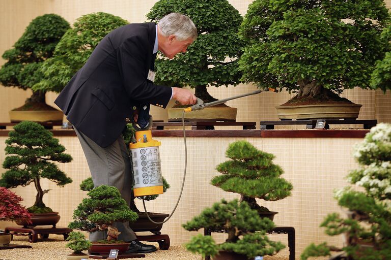 Chelsea Flower Show в Лондоне