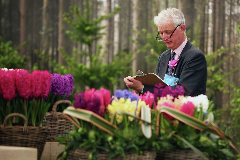 Chelsea Flower Show в Лондоне