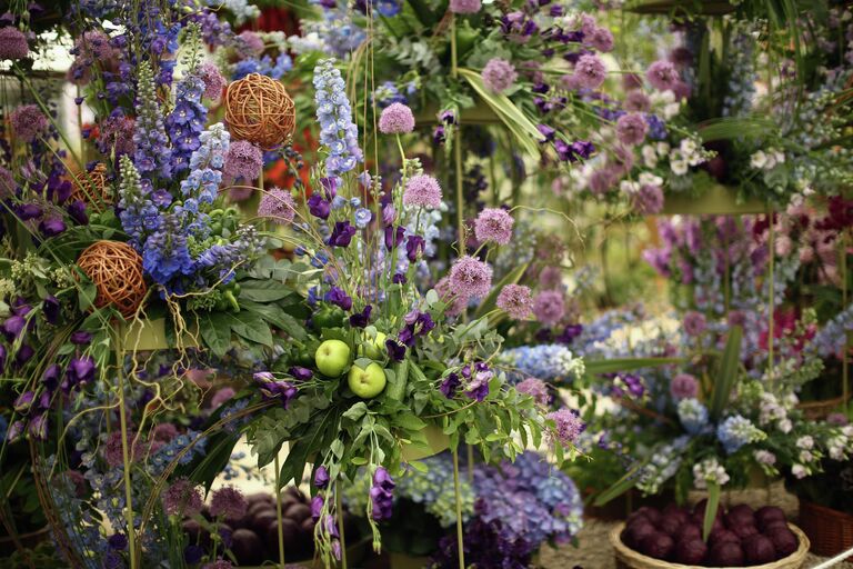 Chelsea Flower Show в Лондоне