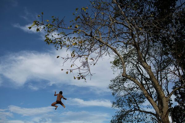 Мальчик прыгает с дерева в реку Рио-Негро в Сан-Педро