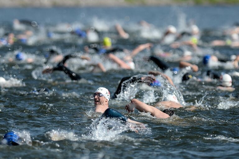 Международные соревнования по плаванию на открытой воде Кубок Чемпионов