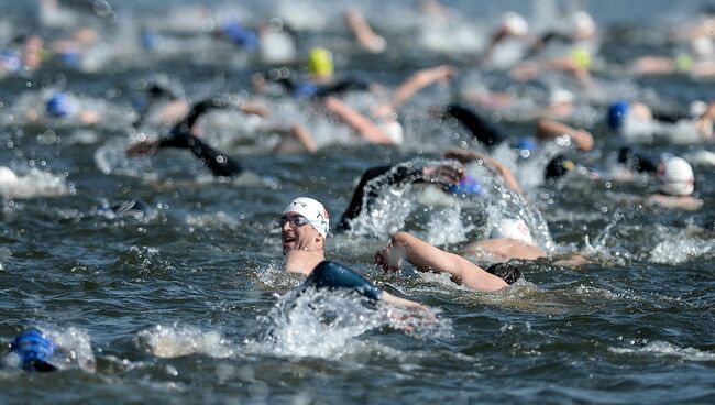 Плавание на открытой воде Кубок Чемпионов. Архивное фото