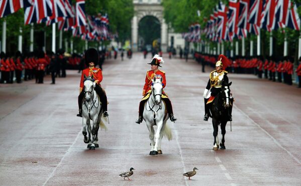 Две утки переходят дорогу перед членами Королевской гвардии на улице Мэлл в Лондоне