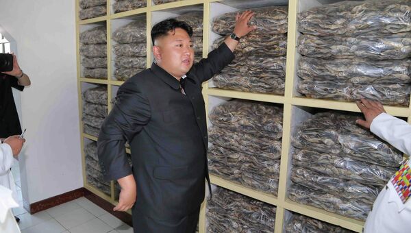 Северокорейский лидер Ким Чен Ын дает указания во время инспекции вооруженных сил КНДР. Архивное фото