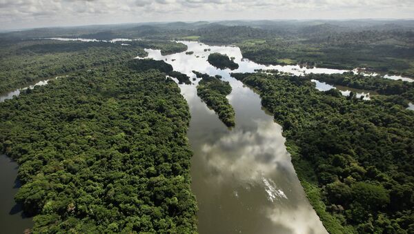 Тропические леса в Бразилии