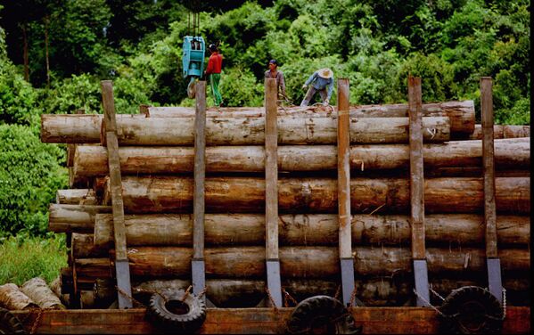 Logging company