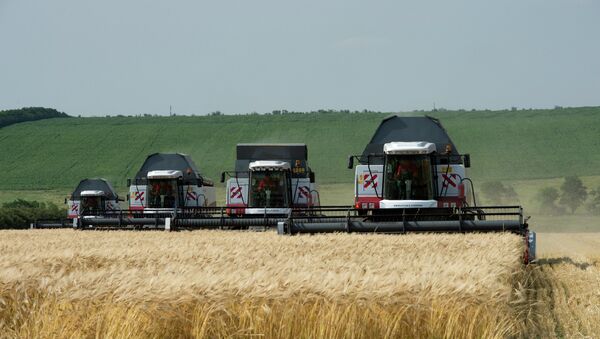 Комбайны сельскохозяйственного производственного кооператива Россия во время жатвы озимого ячменя. Архивное фото