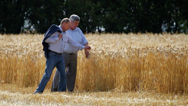 Президент России Владимир Путин и председатель сельскохозяйственного производственного кооператива Россия Сергей Пьянов