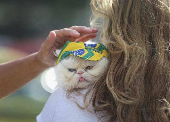 Кошка со своей хозяйкой в ожидании чемпионата мира по футболу в Бразилии