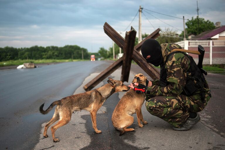 Боец ополчения с бездомными собаками на КПП в селе Карловка под Донецком