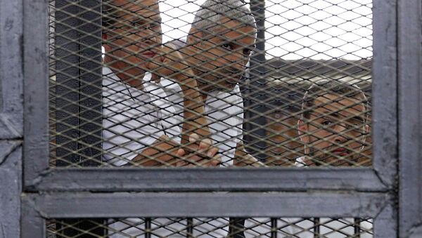 Журналисты Al Jazeera, которые были приговорены к тюремному заключению в Египте