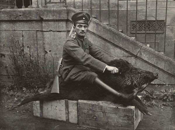 Фотографии солдат первой мировой войны с собаками