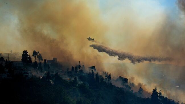 Тушение лесного пожара. Архивное фото