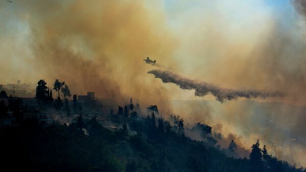Тушение лесного пожара в Иерусалиме, Израиль