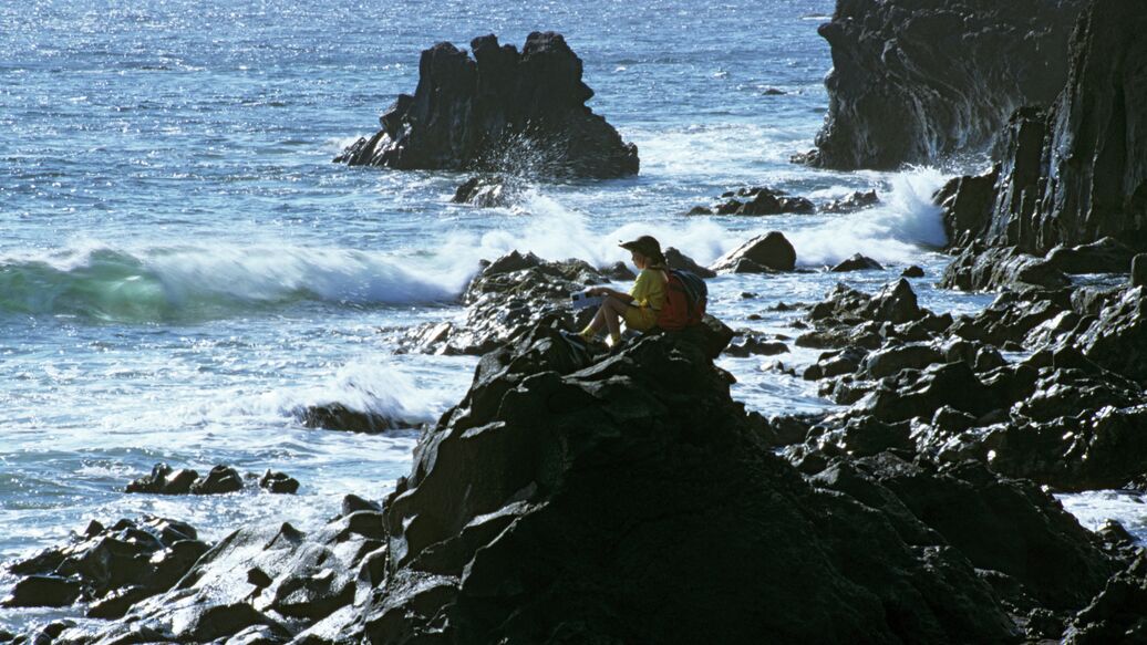 Нелегальные мигранты устроили массовую резню на судне