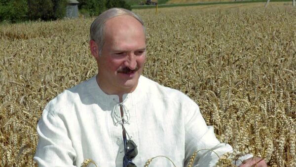 А.Лукашенко во время посещения кооператива под Гродно