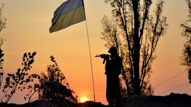 Флаг Украины и военнослужащий. Архивное фото