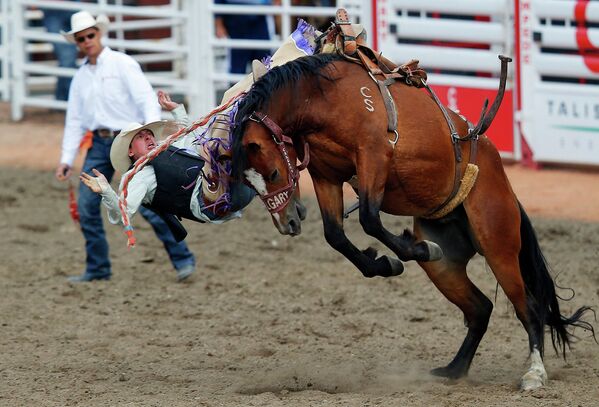 Участник ежегодного ковбойского родео-фестиваля Калгарийский Стампид падает с лошади