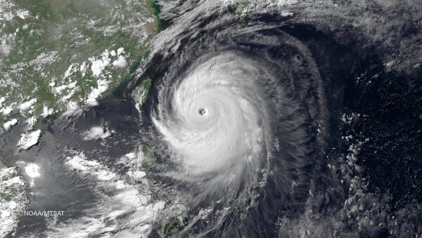 Тайфун Ногури в Тихом океане. Архивное фото