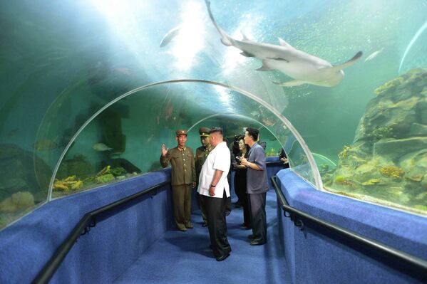 Лидер Северной Кореи Ким Чен Ын во время визита в детский Лагерь Сонгдовон