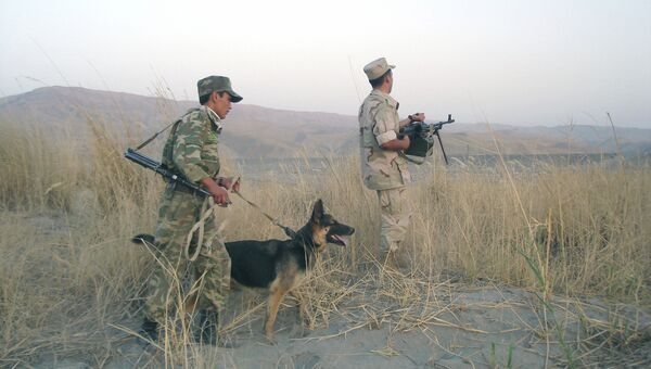 Таджикские пограничники. Архивное фото