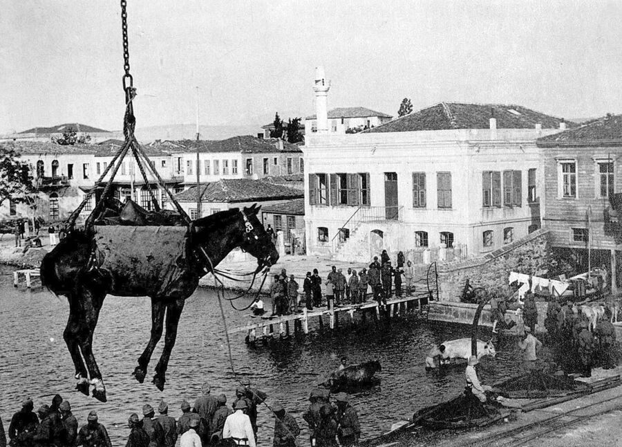Транспортировка лошади в турецком порту во время Первой мировой войны