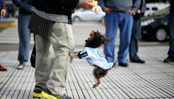 Болельщик сборной Аргентины с собакой на ЧМ по футболу в Рио-де-Жанейро