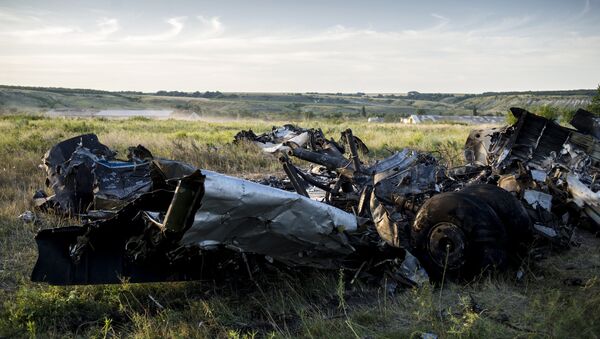 Обломки самолета Ан-26 вооруженных сил Украины, сбитого бойцами народного ополчения, неподалеку от села Давыдо-Никольское Луганской области.