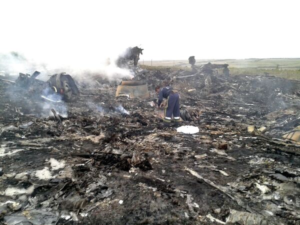 Первые фото обломков сбитого под Донецком Boeing 777 компании Malaysia Airlines