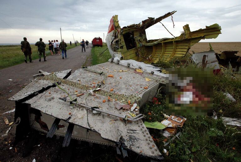 Обломки Boeing 777 компании Malaysia Airlines в районе села Габрово в Донецкой области