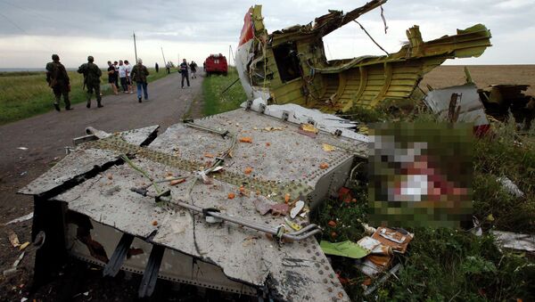 Обломки Boeing 777 компании Malaysia Airlines в районе села Габрово в Донецкой области