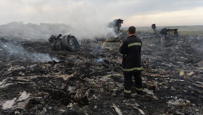 На месте крушения малазийского самолета Boeing 777 в районе города Шахтерск Донецкой области. 17 июля 2014 года  