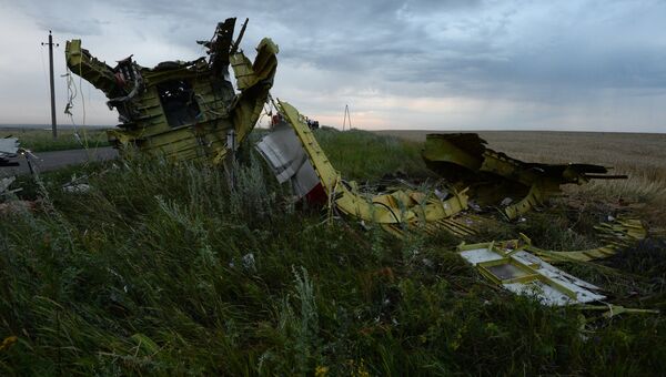 Первые фото обломков сбитого на Украине Boeing 777 компании Malaysia Airlines